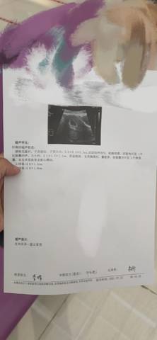 journal_insert_pic_1606909576