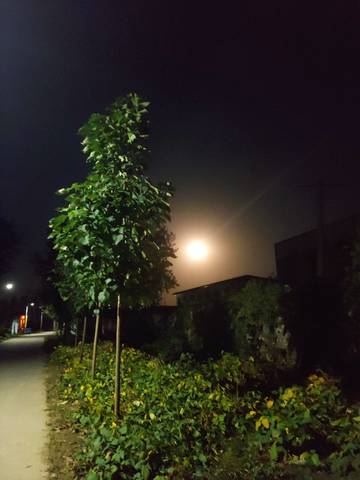 九周 3天 左右腹一阵阵的有点微微拉扯似的疼 你们有过嘛?