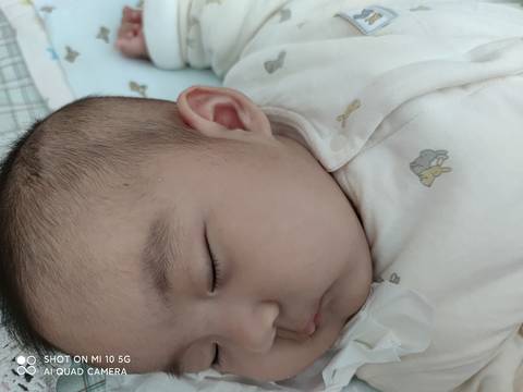 journal_insert_pic_1643730607
