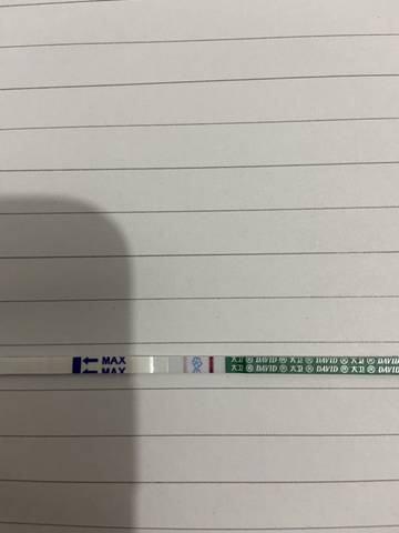 journal_insert_pic_1657790920