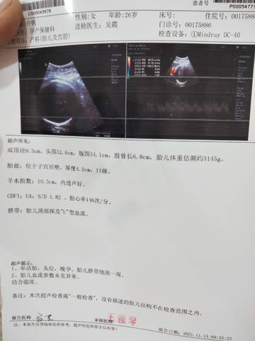 journal_insert_pic_1662520680