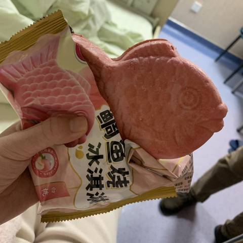 journal_insert_pic_1708338782