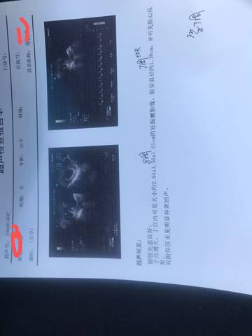 journal_insert_pic_1712830441