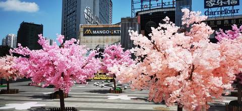 journal_insert_pic_1752418855