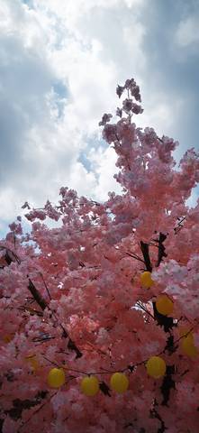 journal_insert_pic_1752418839