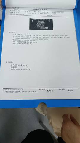 journal_insert_pic_1755251122
