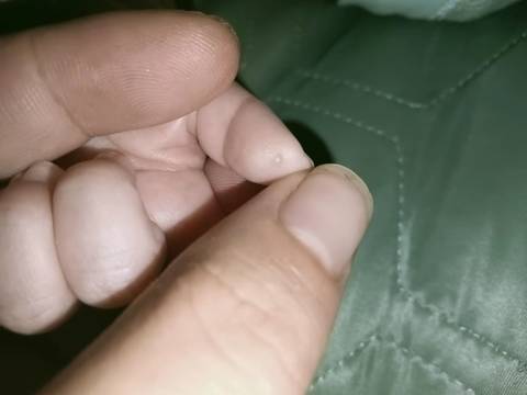 journal_insert_pic_1800088889