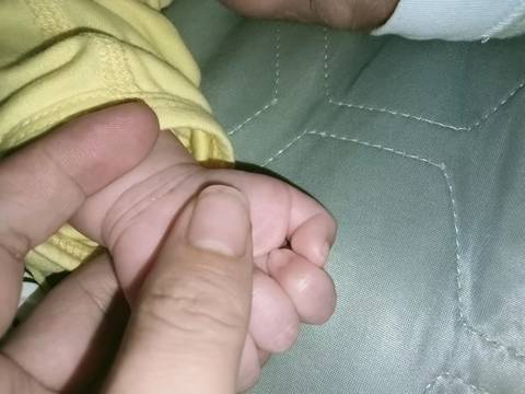 journal_insert_pic_1800088878