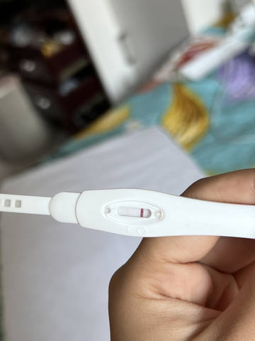 journal_insert_pic_1808103731