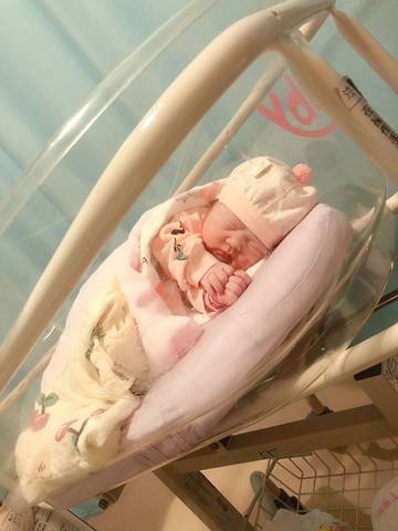 journal_insert_pic_1814379798