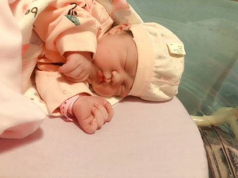 journal_insert_pic_1814379801