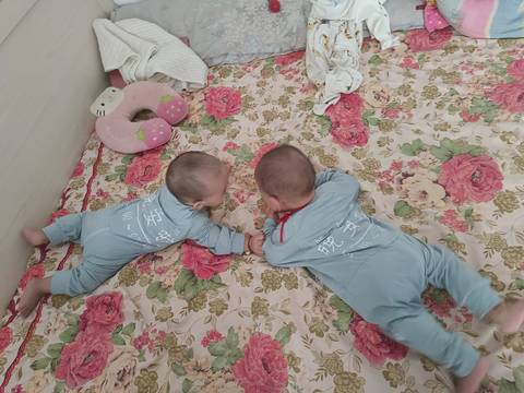 journal_insert_pic_1858391978