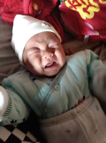 journal_insert_pic_1903445127