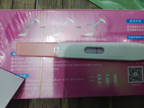 journal_insert_pic_1925775357