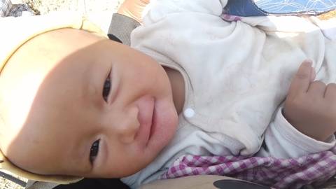 journal_insert_pic_2011512427