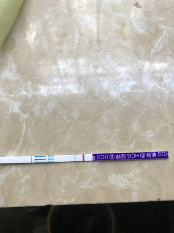 journal_insert_pic_2033497152