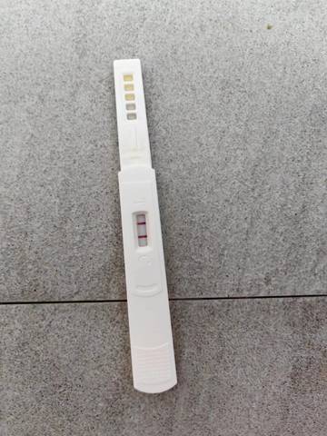 journal_insert_pic_2045598466