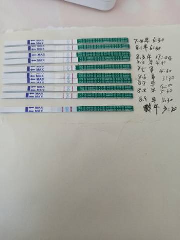 journal_insert_pic_2048249456