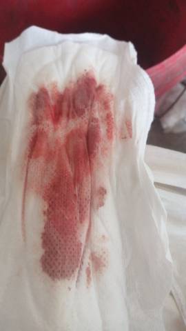 journal_insert_pic_4062384315