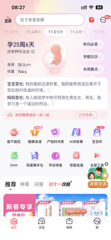 journal_insert_pic_4076498968