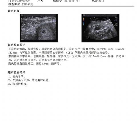 journal_insert_pic_4086371509