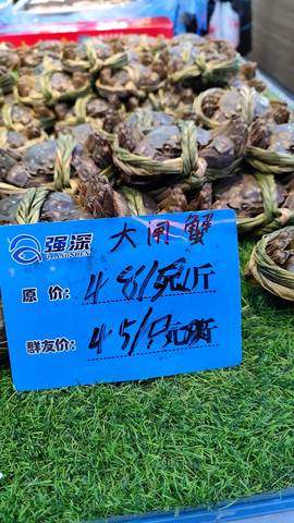 journal_insert_pic_4095543247