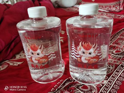 journal_insert_pic_4100272322