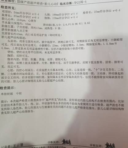 journal_insert_pic_4103601798