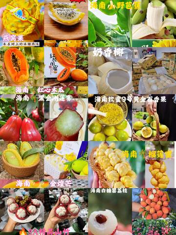 journal_insert_pic_4110937615