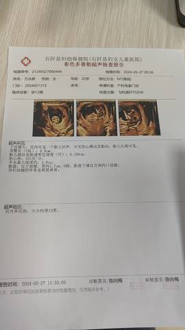journal_insert_pic_4111621312