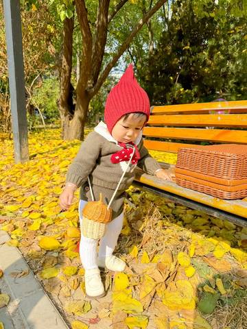 journal_insert_pic_4121273405