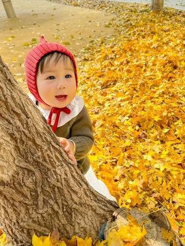 journal_insert_pic_4121273401