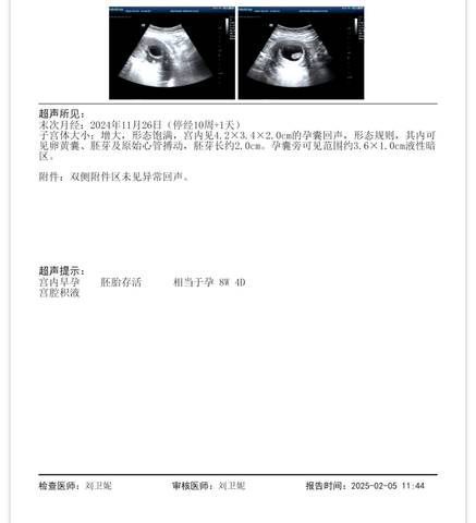 journal_insert_pic_4124338028