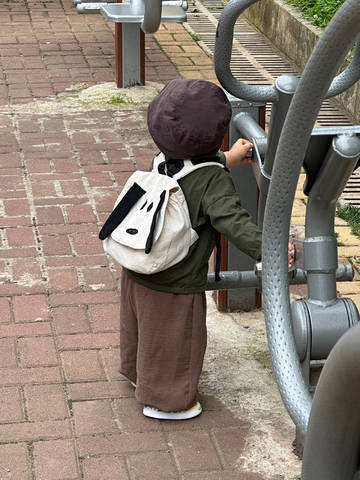 journal_insert_pic_4362027688