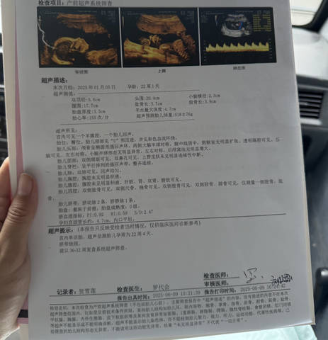 journal_insert_pic_4362116814