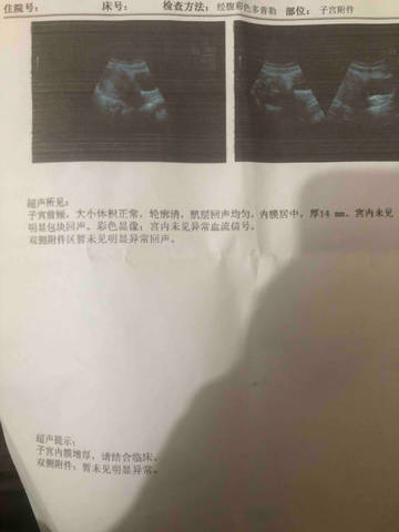 journal_insert_pic_4362989020