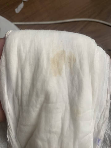 journal_insert_pic_4412824715