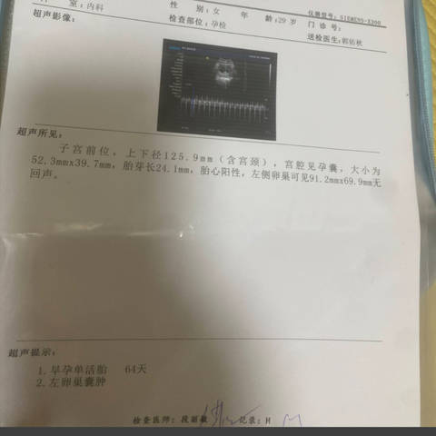 journal_insert_pic_4413934316