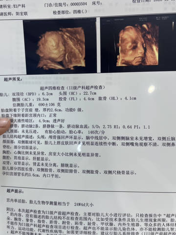 journal_insert_pic_4413938321