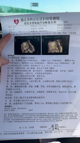 journal_insert_pic_4414241616