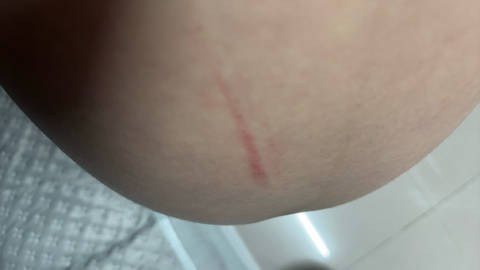 journal_insert_pic_4414426610