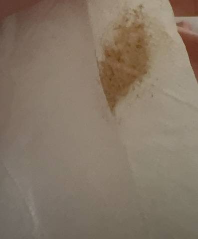 journal_insert_pic_4414875912