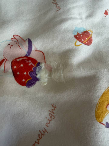 journal_insert_pic_4439501554