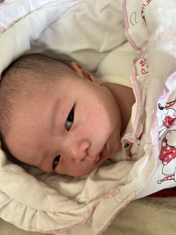 journal_insert_pic_4439503578