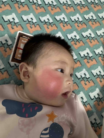 journal_insert_pic_4440266568