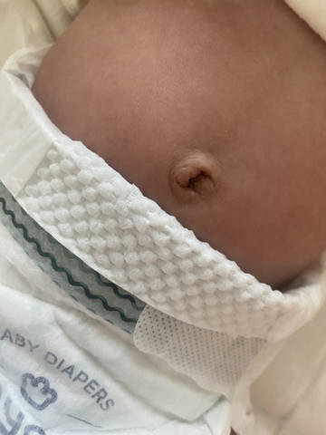 journal_insert_pic_4440377804