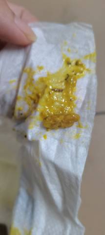 journal_insert_pic_4442928746