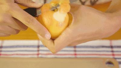 journal_insert_pic_846750035