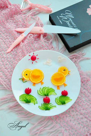 journal_insert_pic_909532947