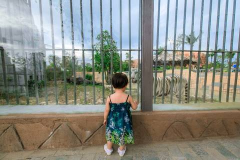 journal_insert_pic_989572590